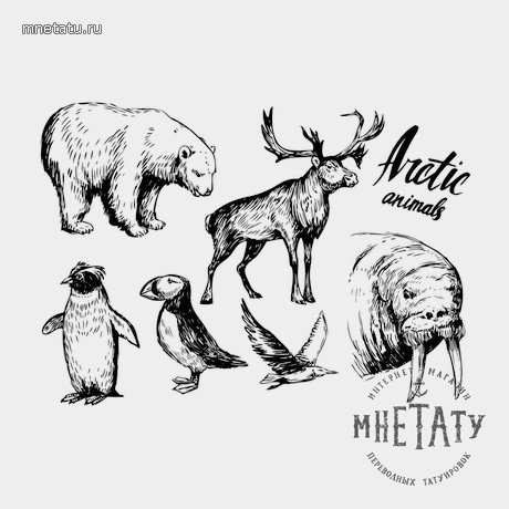 переводная татуировка ледниковый период