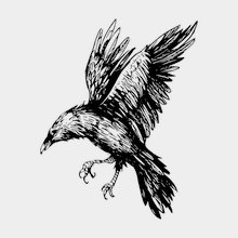 Переводная татуировка Черный ворон