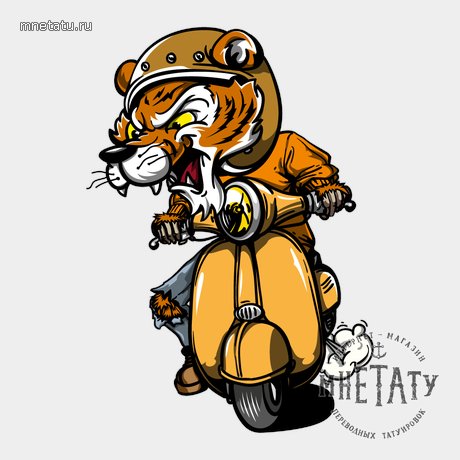 переводная татуировка ts-skater