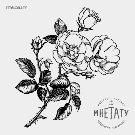 переводная татуировка фроуз