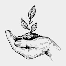 Переводная татуировка Дар Природы