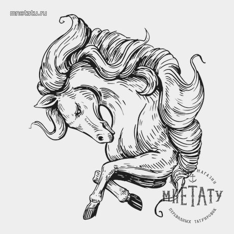 переводная татуировка созвездие пегаса