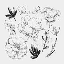 Переводная татуировка Соцветие