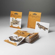 Производство переводных тату Дарвиновский музей