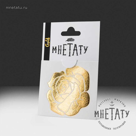 флэш переводка