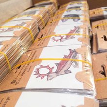 Производство переводных тату Дарвиновский музей